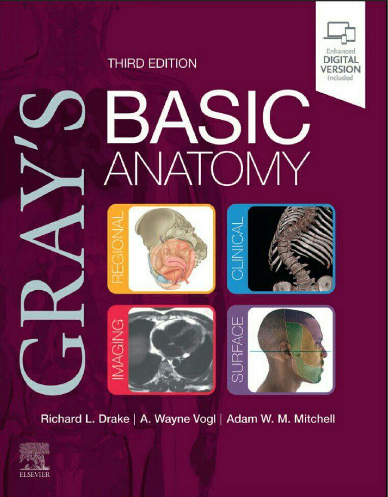 GRAY’S BASIC ANATOMY