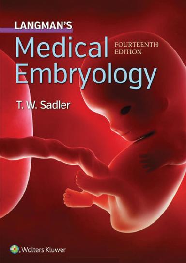 Langman’s medical embryology