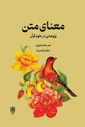 معنای متن